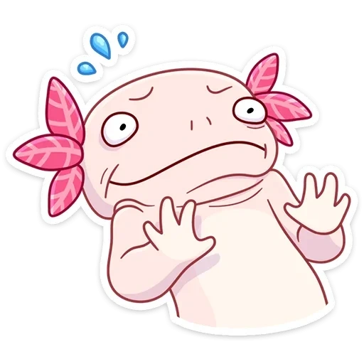 axolotl, gambar axolotl, axolotl mewah, axolotle kecil