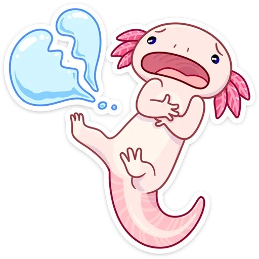 axolotl, gambar axolotl, axolotle kecil, naomi lord axolotl, kartun axolotle