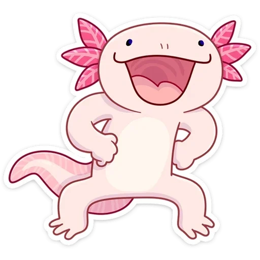axolotl, axolotl manis, axolotle kecil, naomi lord axolotl, gambar axolotl lucu