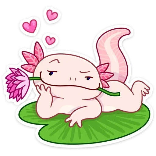 ajolote, dulce axolotl, dibujo axolotl, axolotle es pequeño, dibujos animados axolotl
