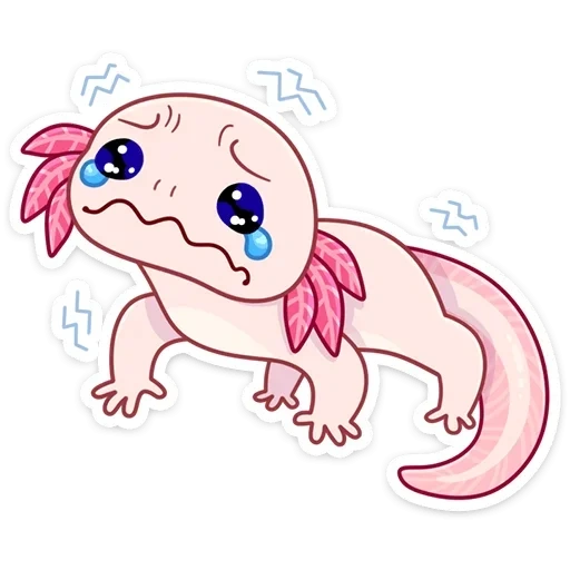 dulce axolotl, axolotl kawaii, furson axolotl, dibujo axolotl, naomi señor animales axolotl
