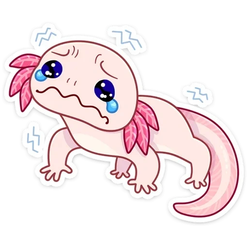 axolotl manis, axolotl kawaii, furson axolotl, gambar axolotl, naomi lord animal axolotl