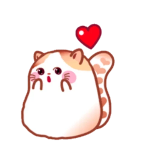 seal, cat heart, heart cat, heart-shaped cat, heart cat