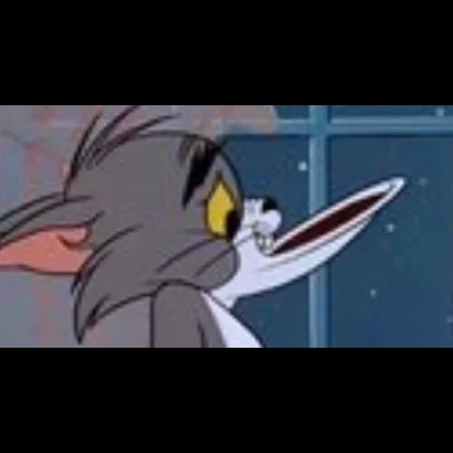 tom and jerry, tom and jerry 1932, tom from the cartoon tom and jerry, tom and jerry 1967, tom and jerry 1966