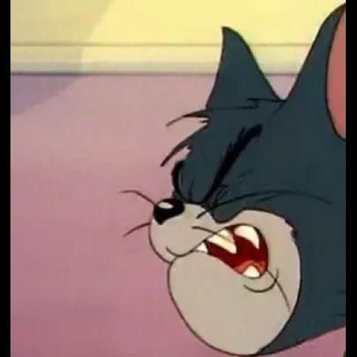 tom and jerry, tom from tom and jerry smoking, tom with cigarette tom and jerry, tom and jerry cat, man