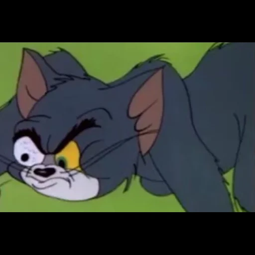 tom and jerry, tom and jerry season 1 episode 1, tom and jerry new, tom and jerry tom and jerry, jerry tom and jerry