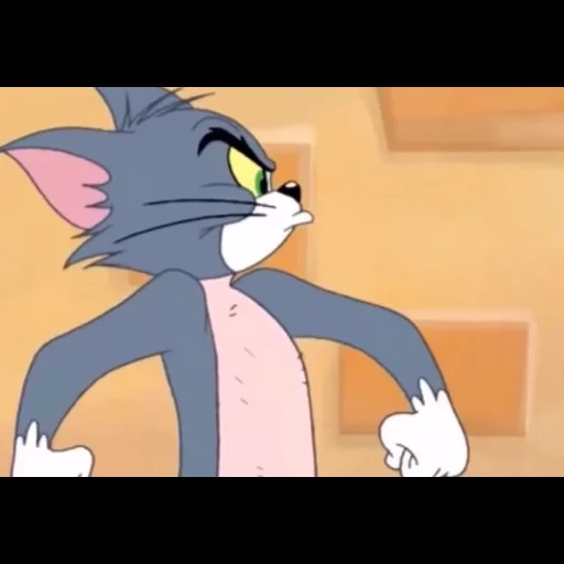 tom and jerry, cat tom from tom and jerry, tom and jerry cat, show tom and jerry, tom and jerry new