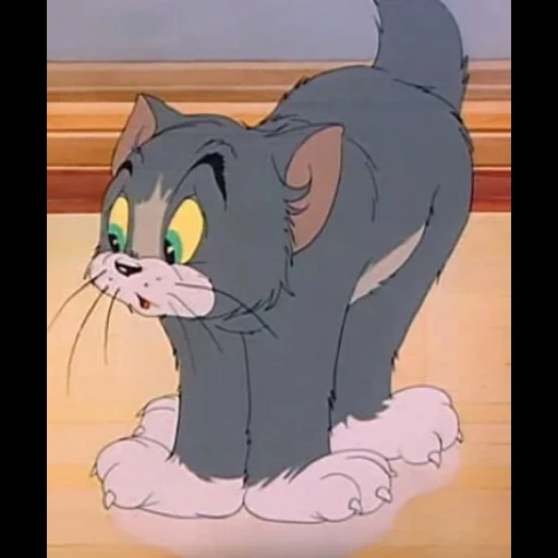 tom and jerry, tom and jerry jerry, tom and jerry cat, tom and jerry season 1, jerry