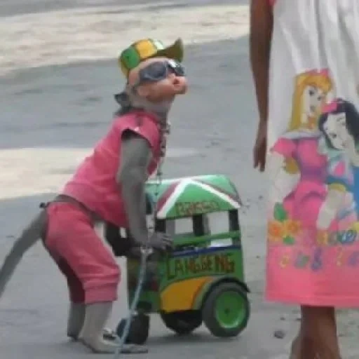 funny, monyet, ребенок, monkey funny, вау обезьяна мотоцикле