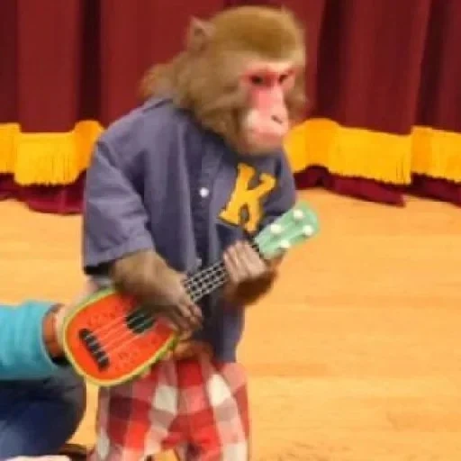 мальчик, человек, обезьяна, обезьян мэн, обезьяны цирке