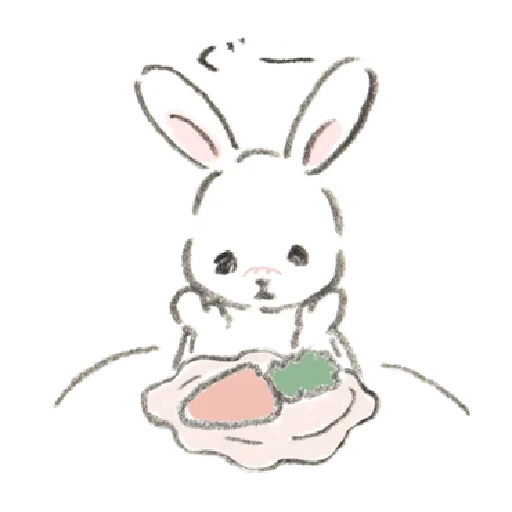 bunny, rabbit, dear rabbit, rabbit drawing, rabbit with a pencil sketch