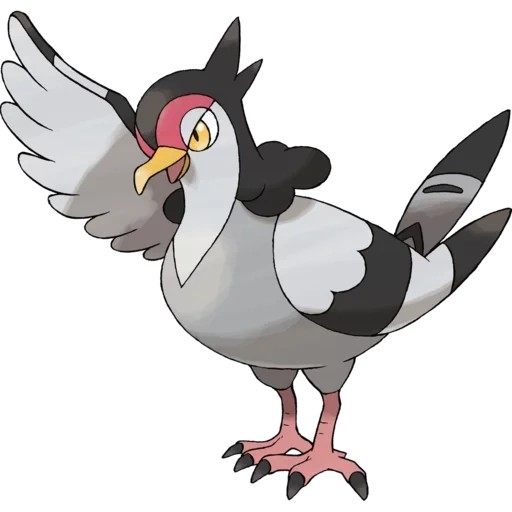 покемон, покемон птица, покемон голубь, покемон анфезант, пидав покемон эволюция