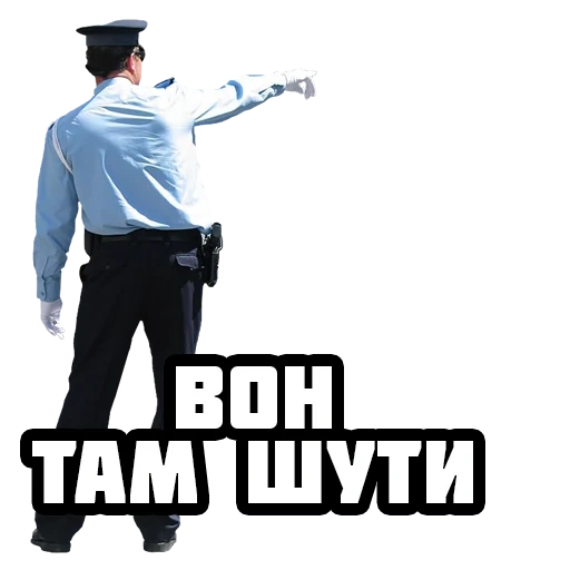 captura de pantalla, policía memética, acerca de los memes del ministerio del interior, policía memética, modalidades policiales