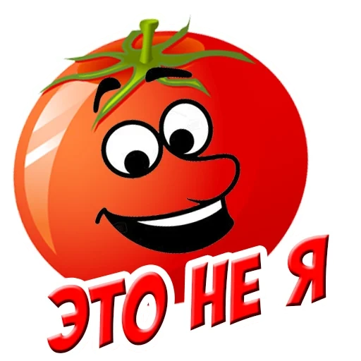 tomates, tomates, les tomates sont drôles, fun tomate