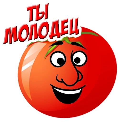 tomates, tomates, capture de tomates, fun tomate