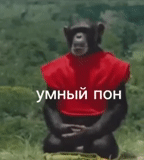 горилла, обезьяна, скриншот, мистер обезьяна, обезьяна горилла