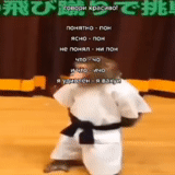judo, bambino, karate prima, poparte