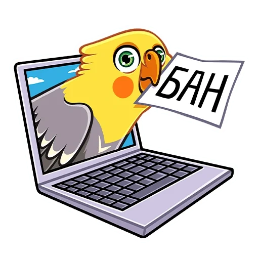 screen, parrot