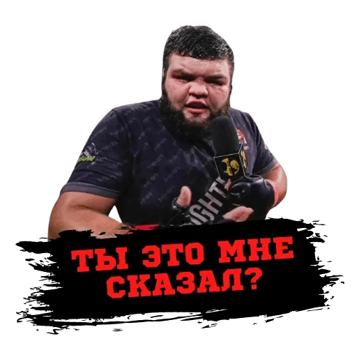 lutador, o masculino, daniyal elbaev, alexander emelianenko, alexander emelianenko akhmat