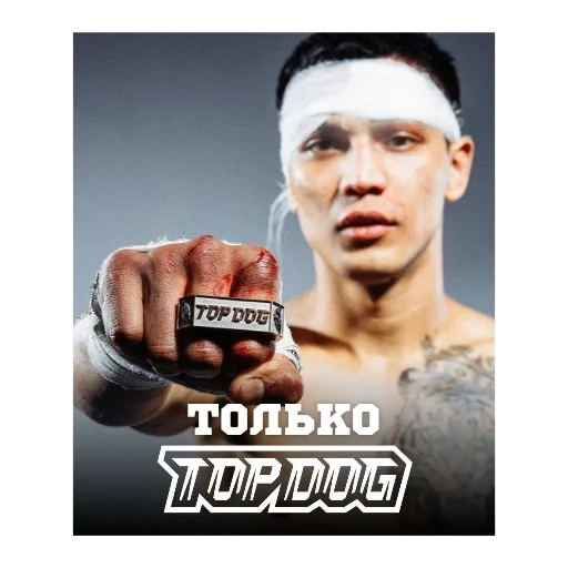 fight, warrior, golovkin, mixed martial arts player, iskandar chef ziayev