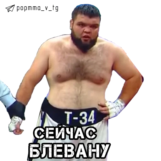 el hombre, emelianenko datsik, luchadores rusos de mma