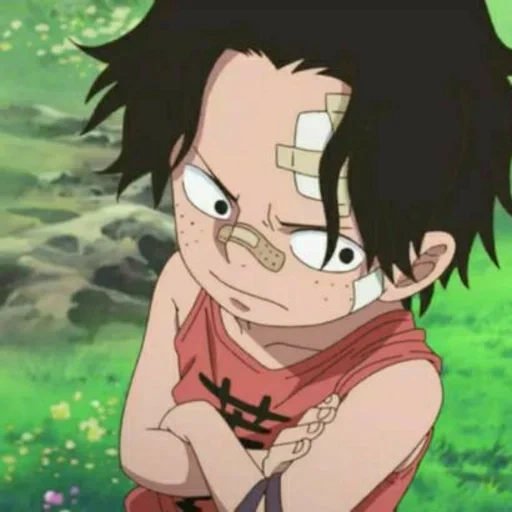 luffy, wang lufei, luffy ace, brother luffy, mankey de luffy