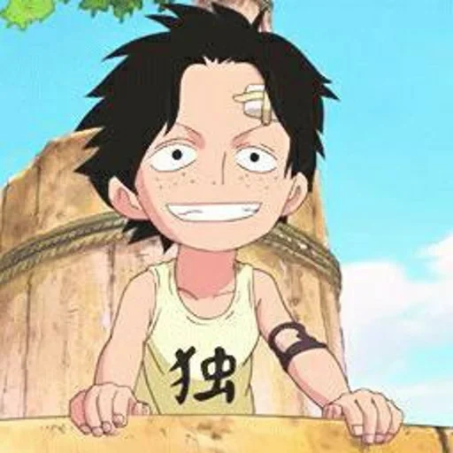 animación, luffy, luffy hermano, rey ladrón de animación, ace de la infancia