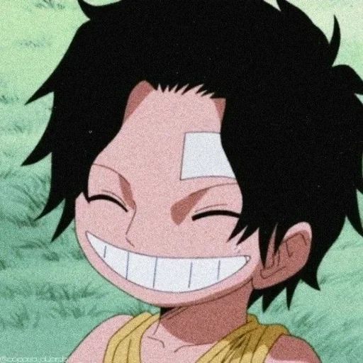 luffy, wang lufei, seyou luffy, van pies luffy, one piece luffy