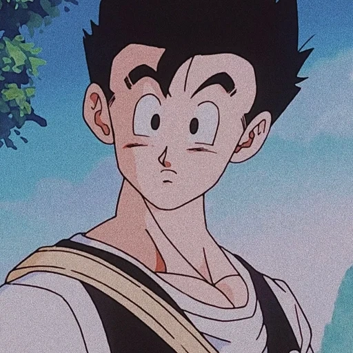 gohan, аниме, lucas, драконий жемчуг, персонажи аниме