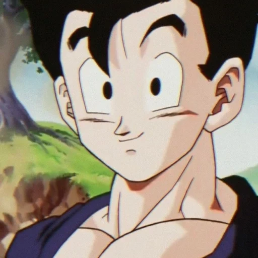 gohan, gohan buu saga, драконий жемчуг, videl rides gohan's face, драконий жемчуг бп наследие героя