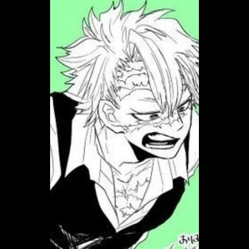 manga anime, dessins d'anime, personnages de mangas, personnages d'anime, manga roronoa zoro