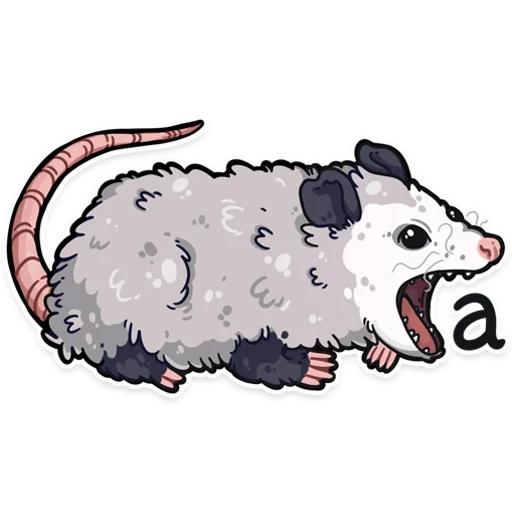 opossum, dessin d'oposum, dessin animé