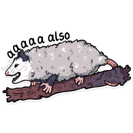 opossum, dessin d'oposum, épisseum mange des poubelles