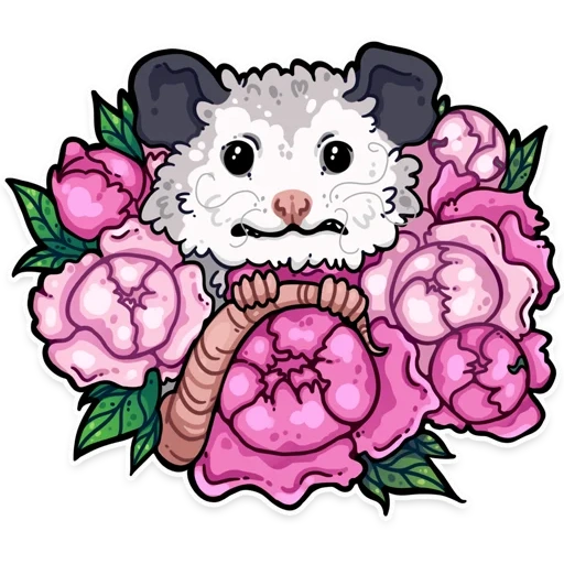 opossum, dessin d'oposum