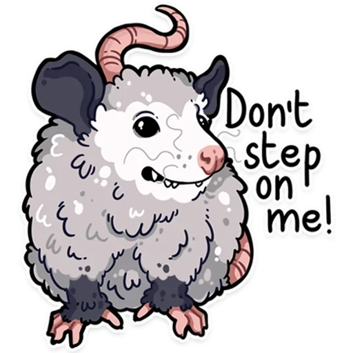 rat, opossum, oposums, dessin de moutons
