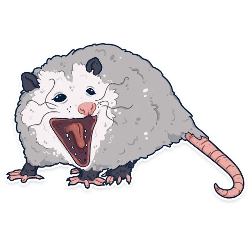 opossum, dessin d'oposum, dessin animé, opssum stylisé