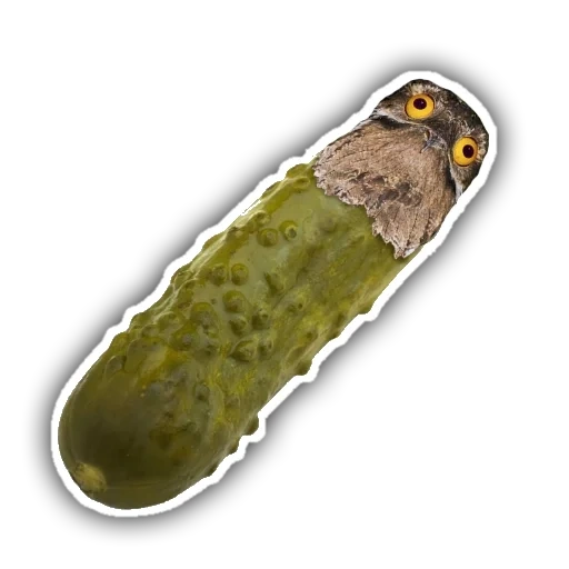 cetriolo, cucumber rick, rick morty cucumber, rick morty cucumber rick