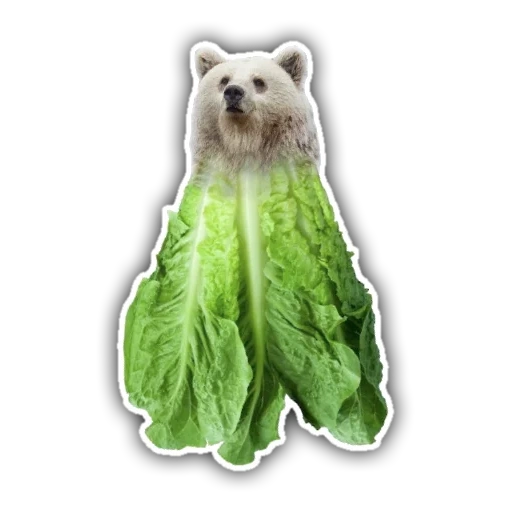 pack, lettuce cat, urso polar auto-adesivo