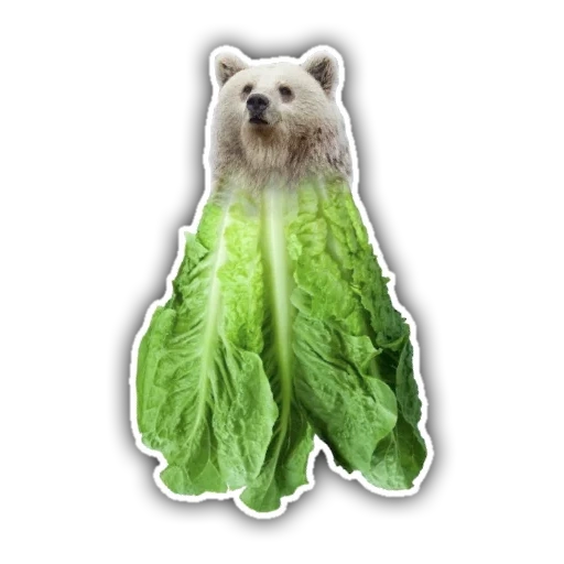 pack, lettuce cat, self-adhesive polar bear