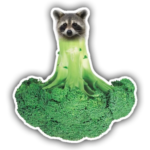 green raccoon, raccoon stripes are smooth