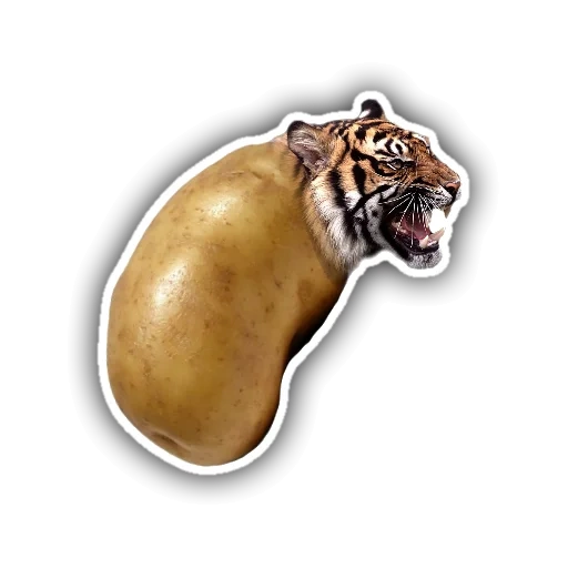 saber teeth, tiger on a white background, golden tiger transparent bottom