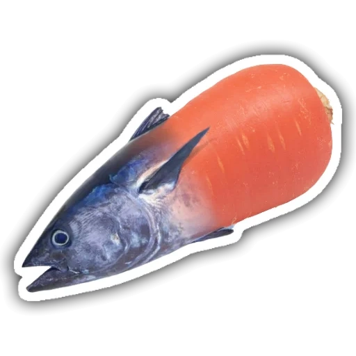 pack, der lachs, der fisch von kijuki, salmon twitter