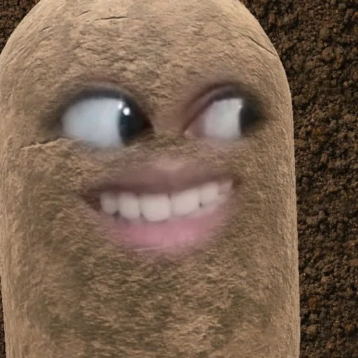 visage, garçon, pommes de terre, visages amusants, mème zoom de pommes de terre