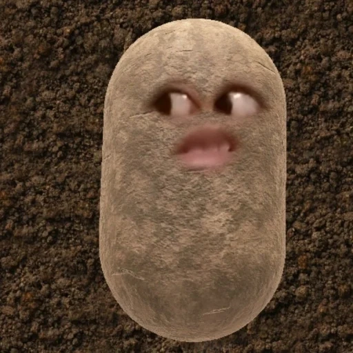 engraçado, batatas, eu sou uma batata, corrente de teca de batata, potato filter zoom