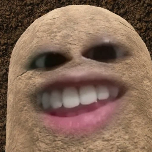 viso, meme, ragazzo, umano, patate