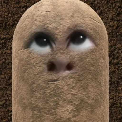 potato, 1 subscriber, enter the request, potato zoom meme, vasily lebedev craft