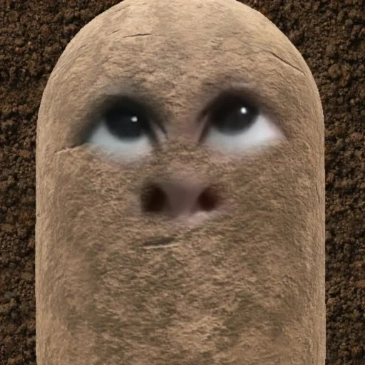 potato, 1 abonnent, enter a query, kartoffel-zoom-meme, vasily lebedew handwerk