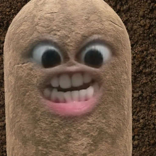 joke, request, 1 subscriber, enter the request, funny potatoes