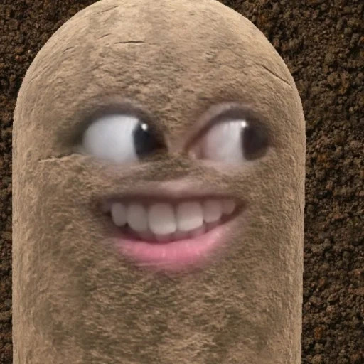 request, camerophone, 1 subscriber, enter the request, funny potatoes