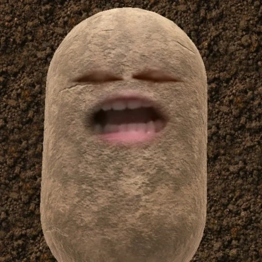ragazzo, patata, meme zoom di patate, le patate spuntano corrente, zoom del filtro di patate